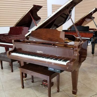 PianoDisc PD-520 Player Baby Grand