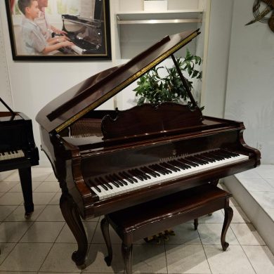 Steinway M Rosewood Parlor Louis 15th