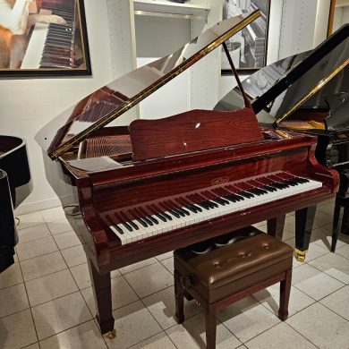 Carl Ebel G-151 mp Baby Grand